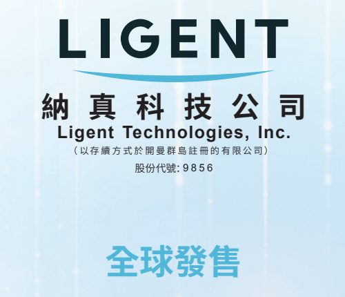 纳真科技.png