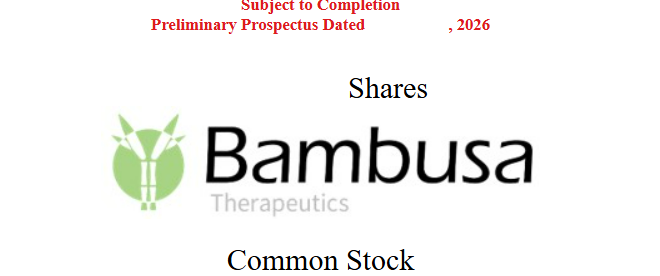 Bambusa.png